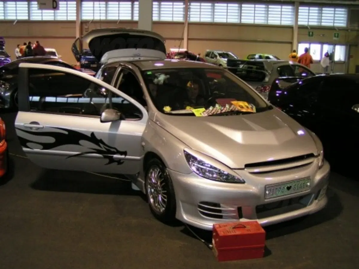 Auto Tuning Show (49)