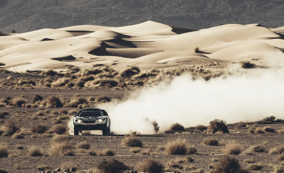 Bruno Famin: «Peugeot sogna ancora Le Mans. Andreucci alla Dakar? Bella idea!»