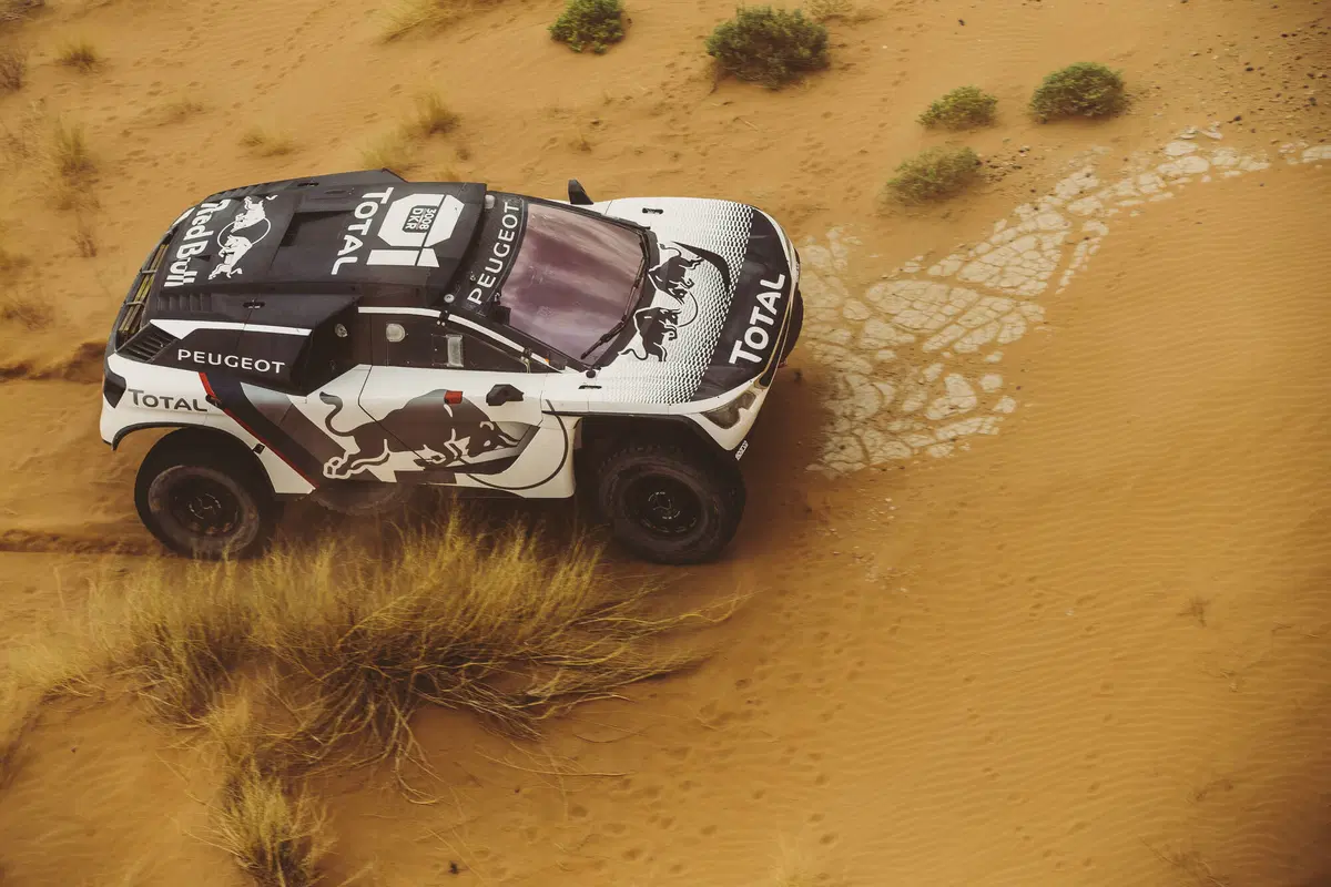 Bruno Famin: «Peugeot sogna ancora Le Mans. Andreucci alla Dakar? Bella idea!» (15)