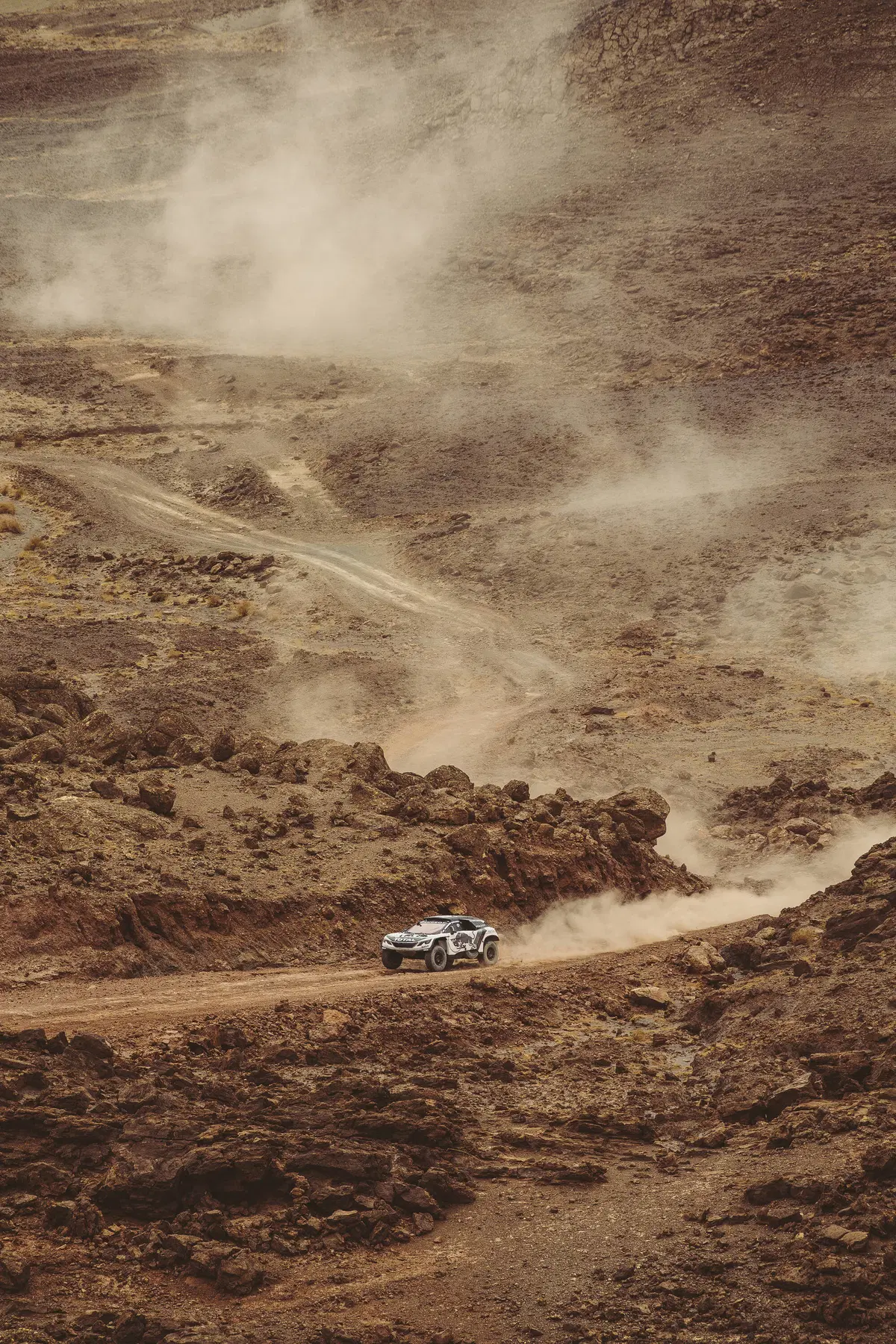 Bruno Famin: «Peugeot sogna ancora Le Mans. Andreucci alla Dakar? Bella idea!» (17)