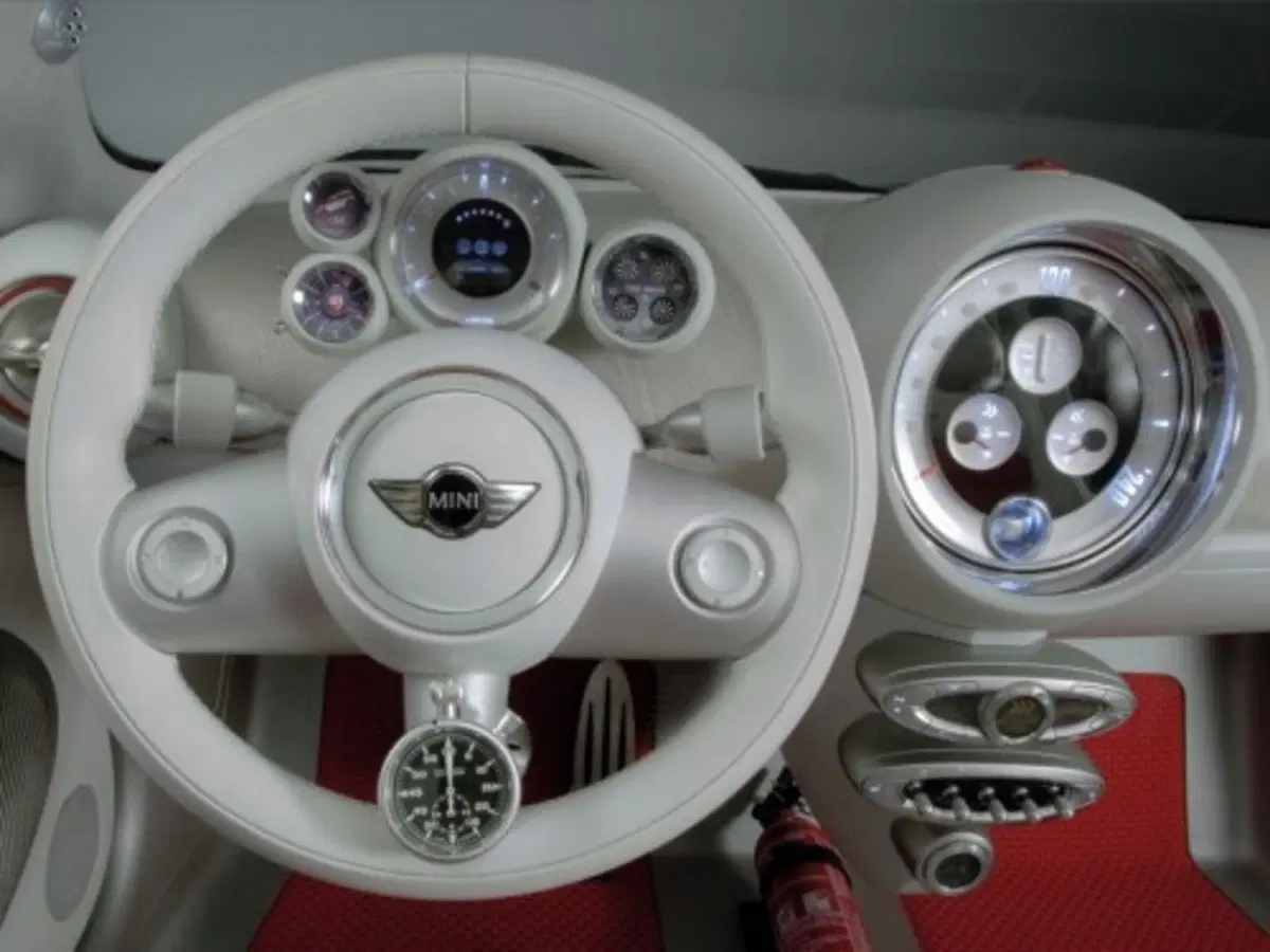 Mini Concept Geneva (8)