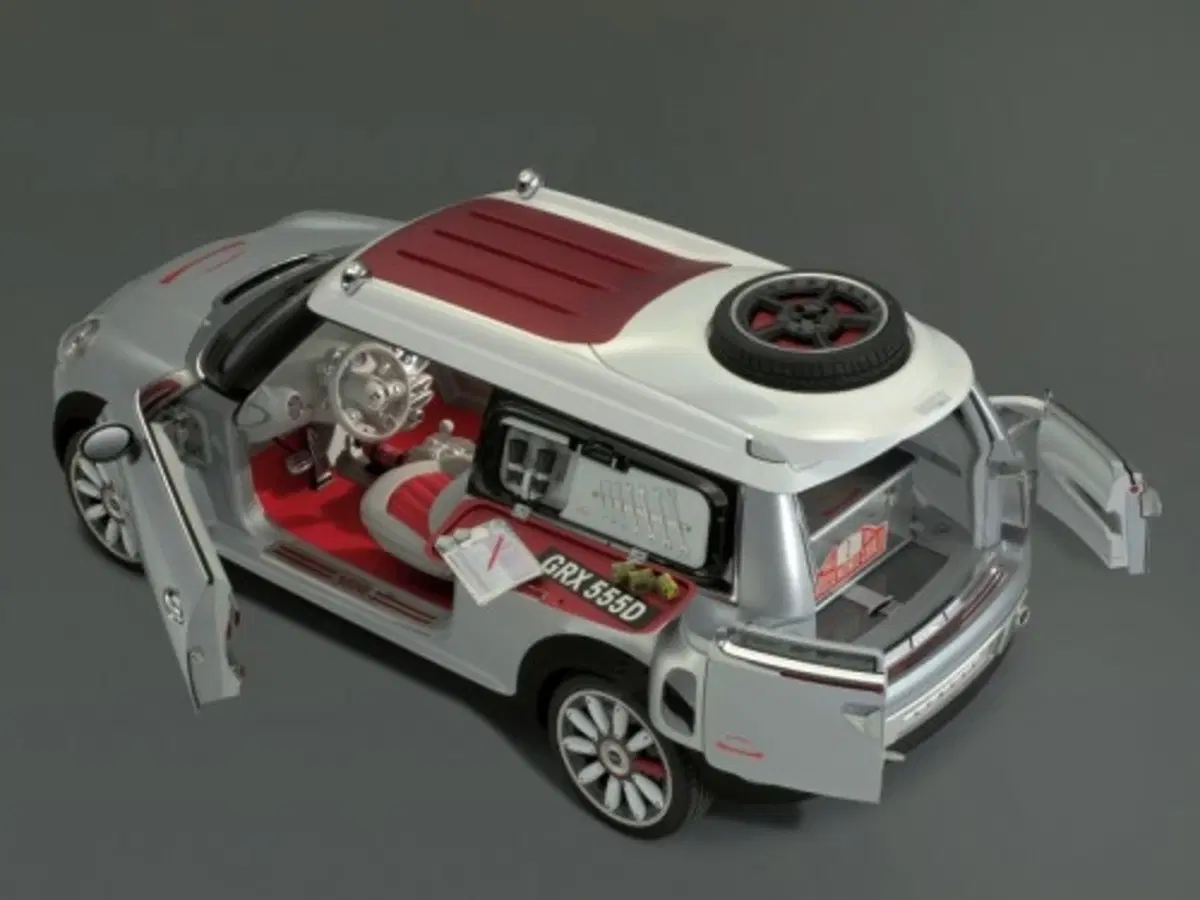 Mini Concept Geneva (11)
