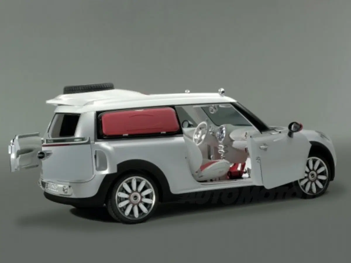 Mini Concept Geneva (12)