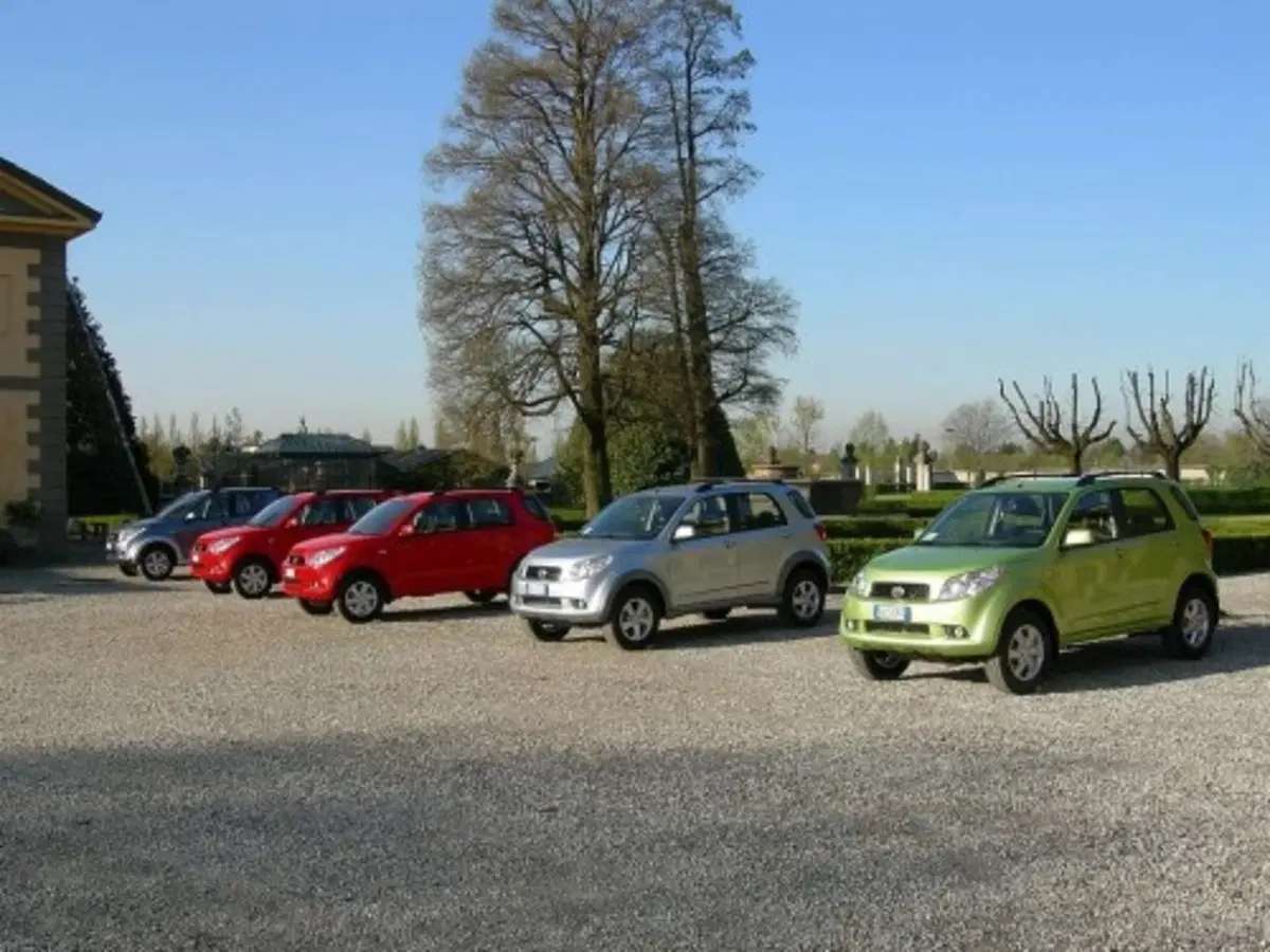 Daihatsu Terios (11)