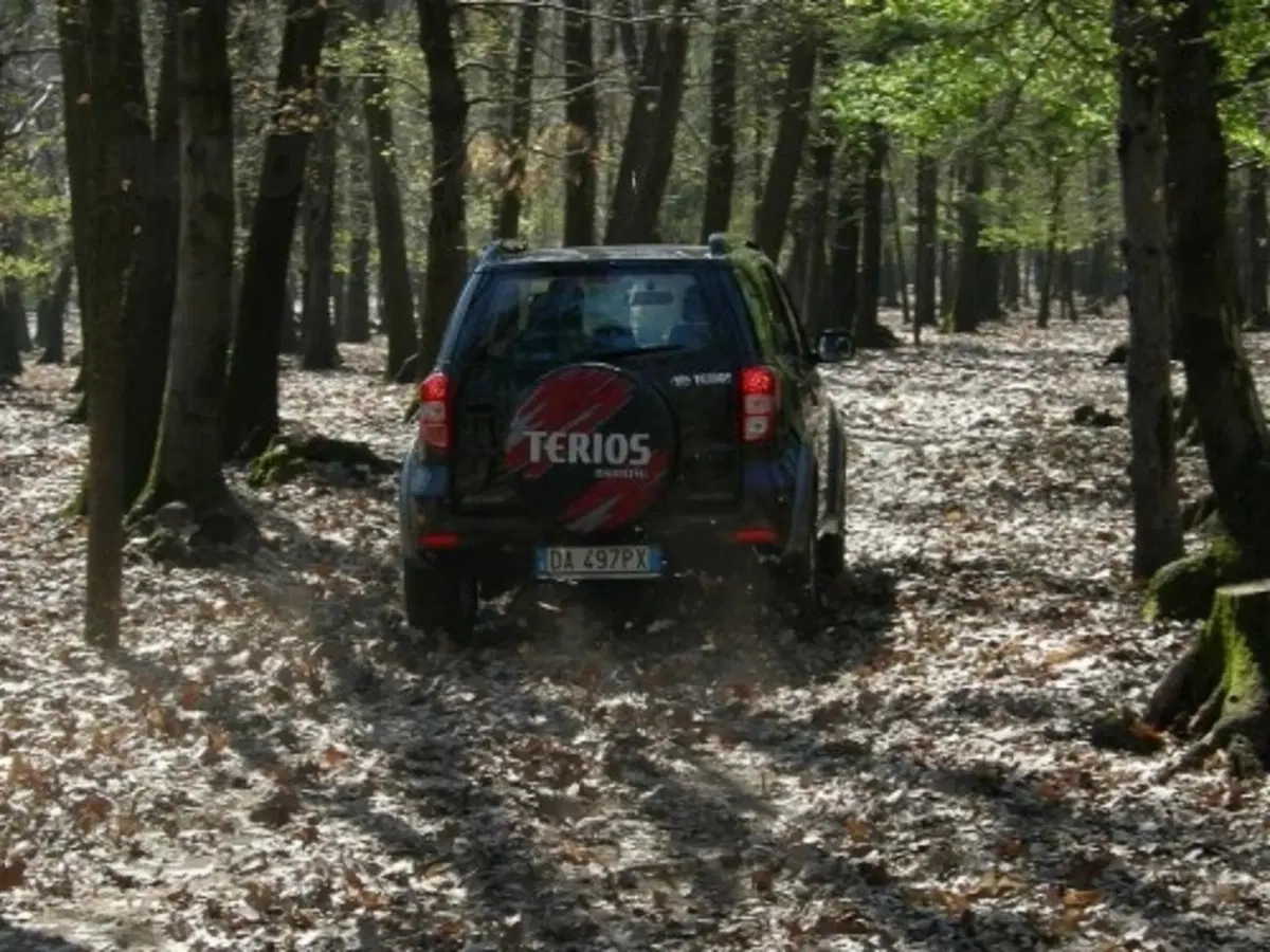 Daihatsu Terios (38)
