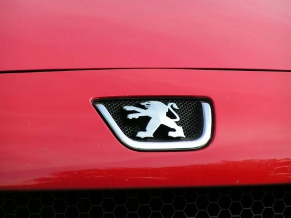 Peugeot 1007 (20)