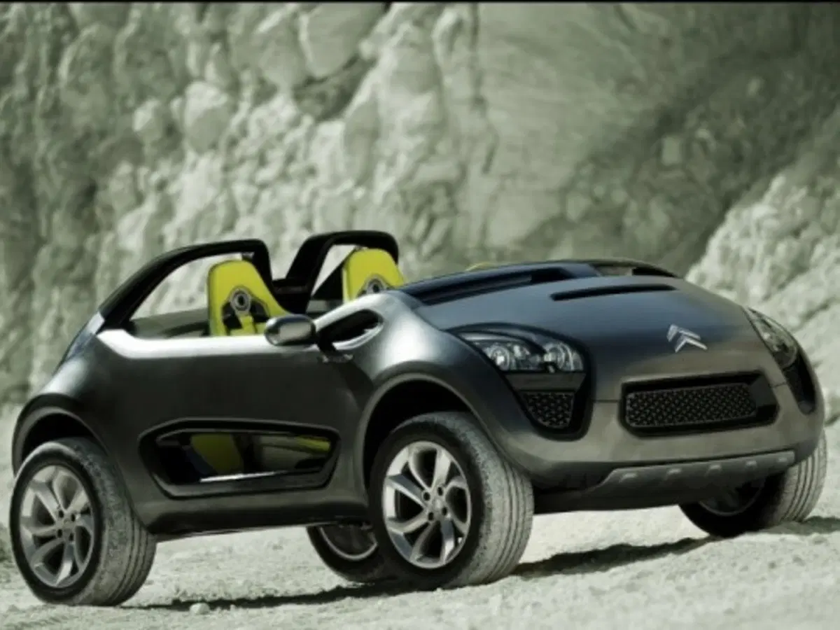 Citroen C-Buggy (2)