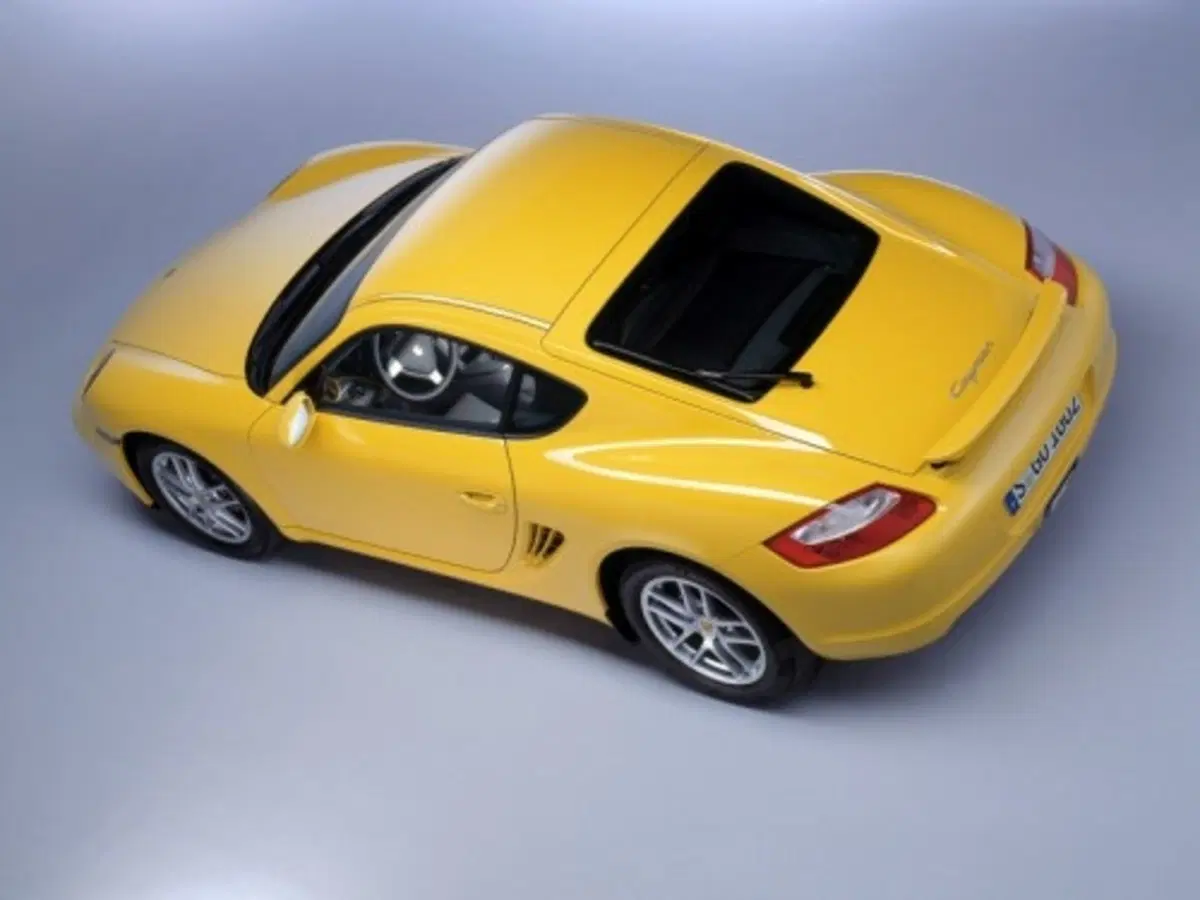 Porsche Cayman (3)
