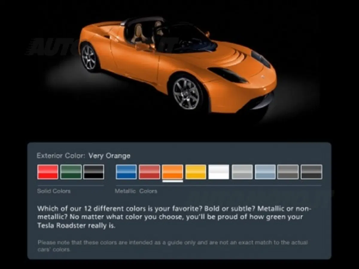 Tesla Roadster (19)
