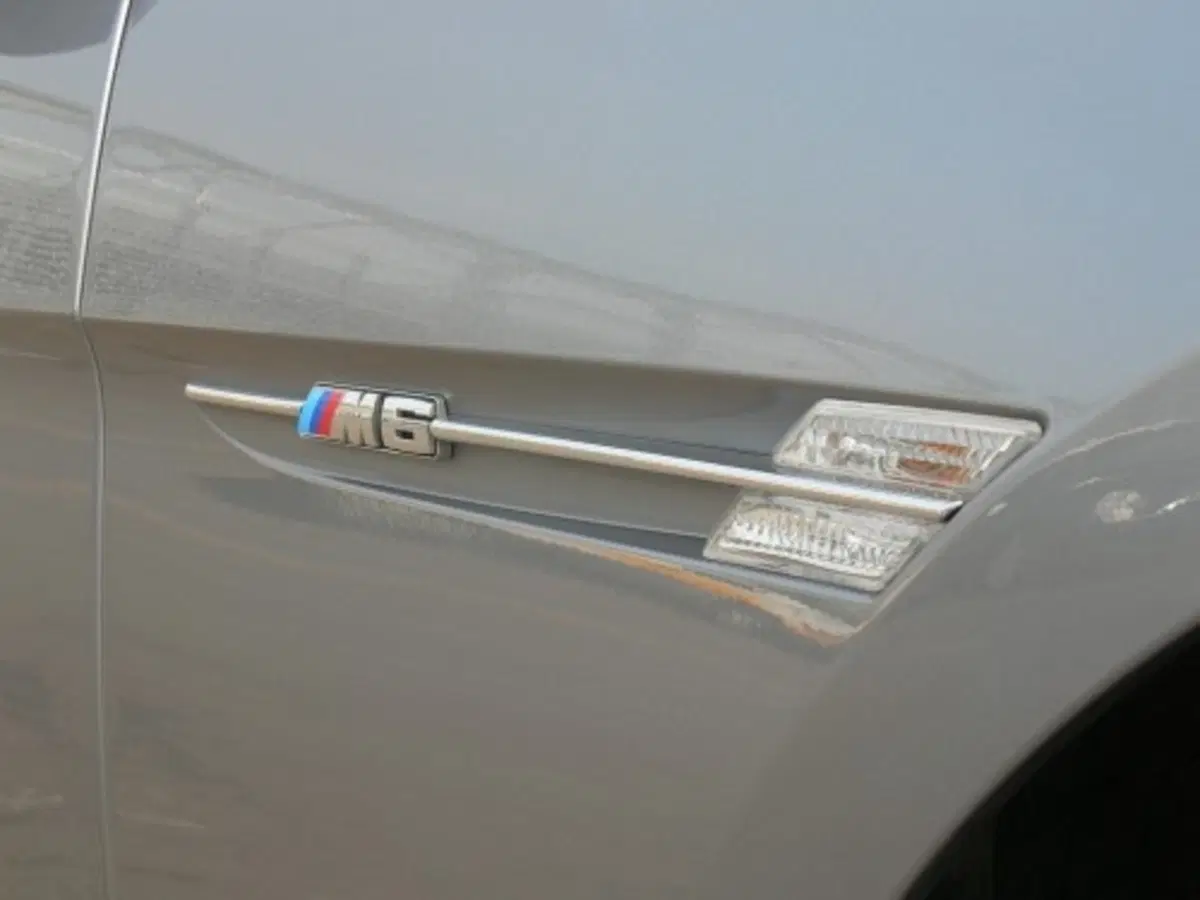 Bmw Serie 6 Coupè (17)