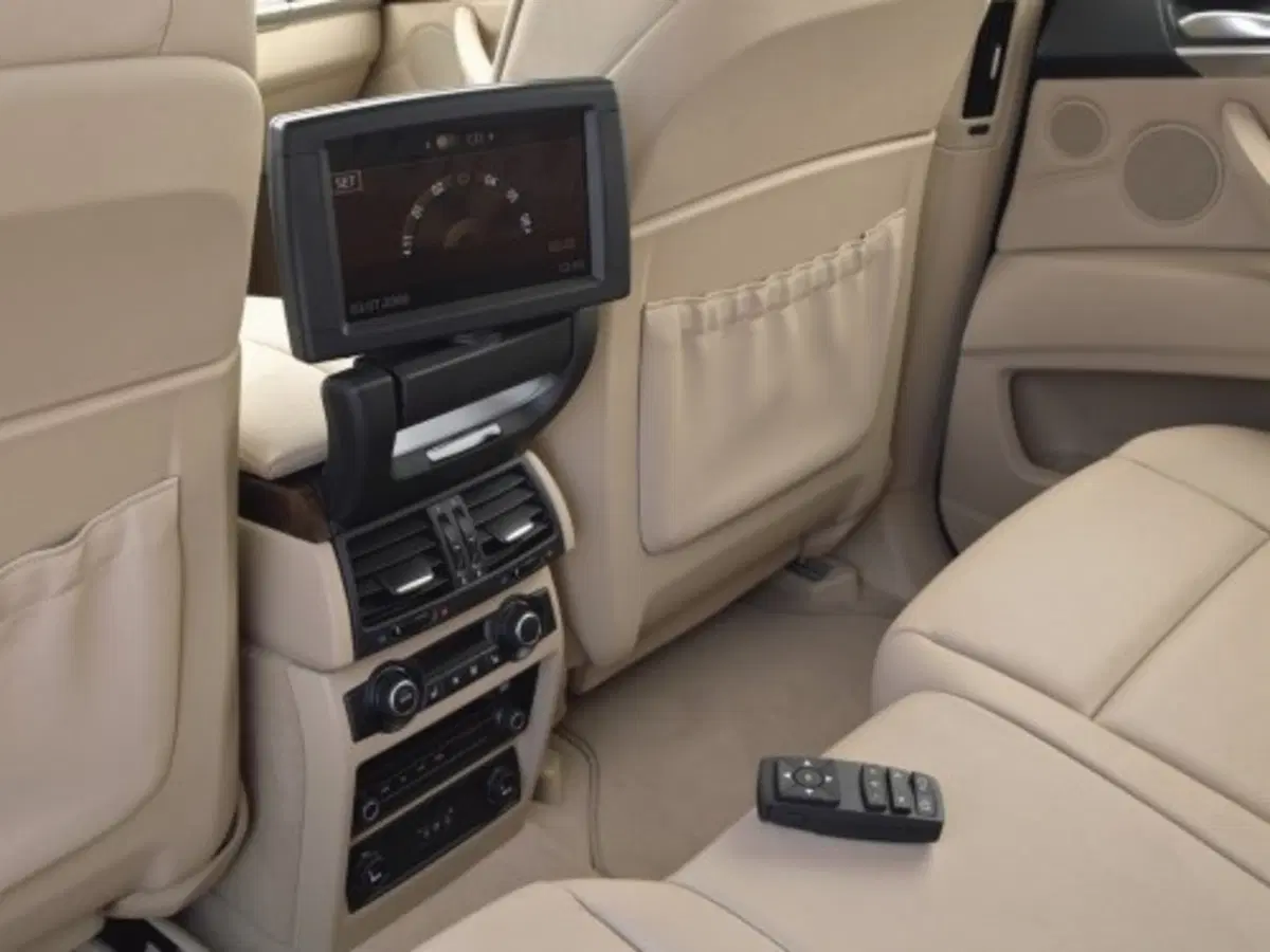 Bmw X5 (9)
