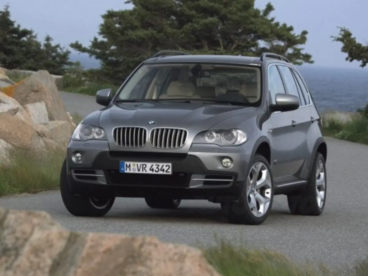 Bmw X5 (19)