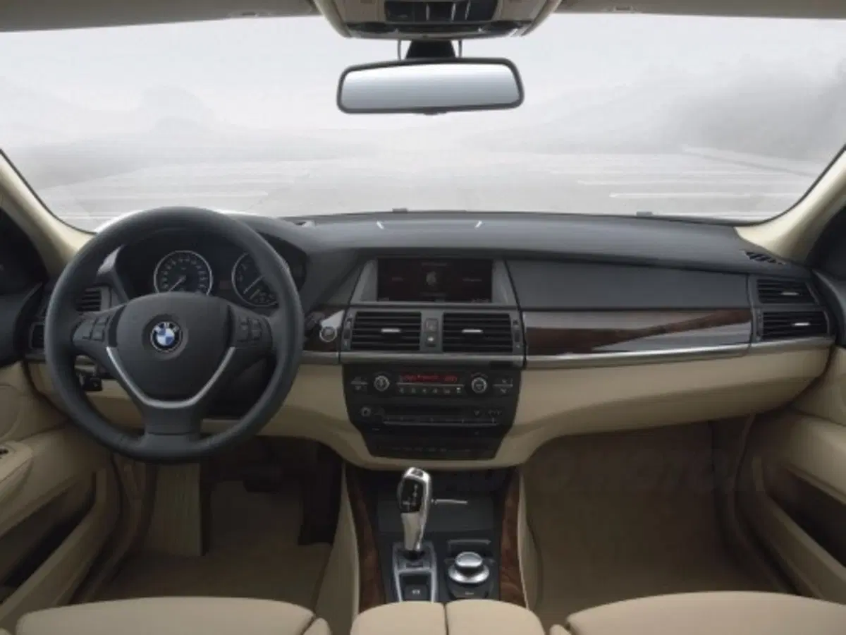 Bmw X5 (20)