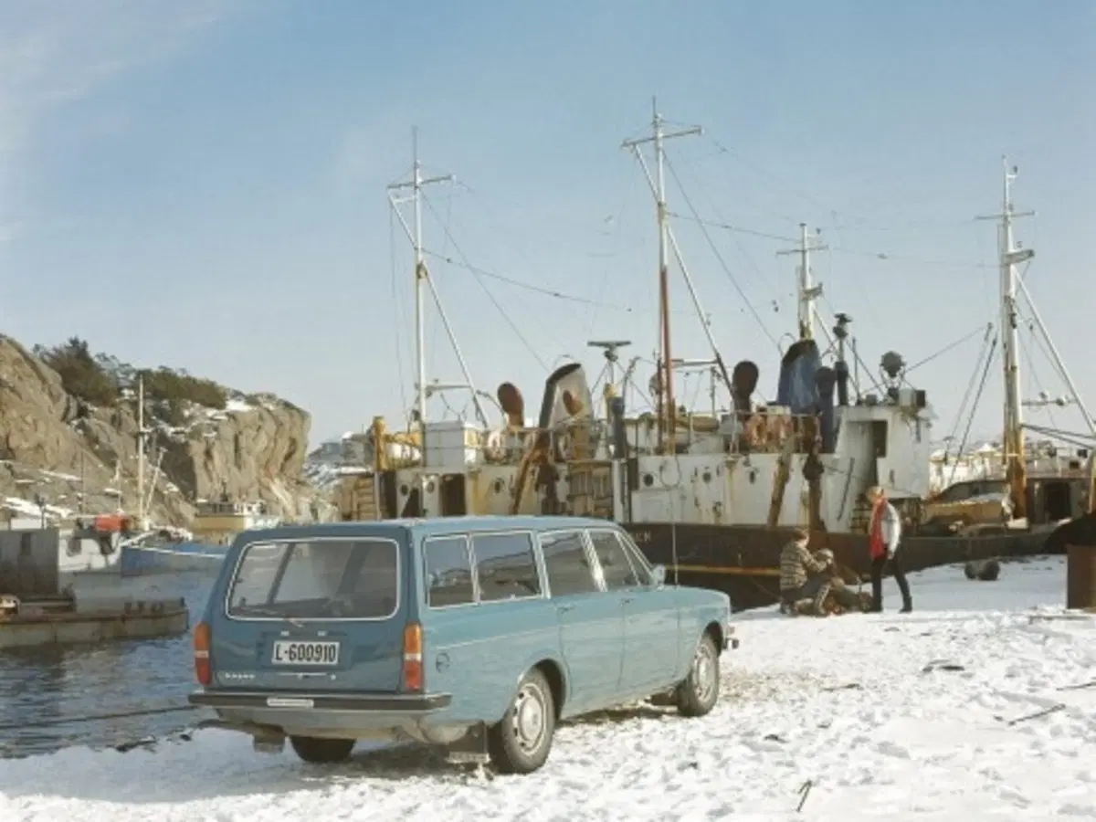 Volvo 144 (3)