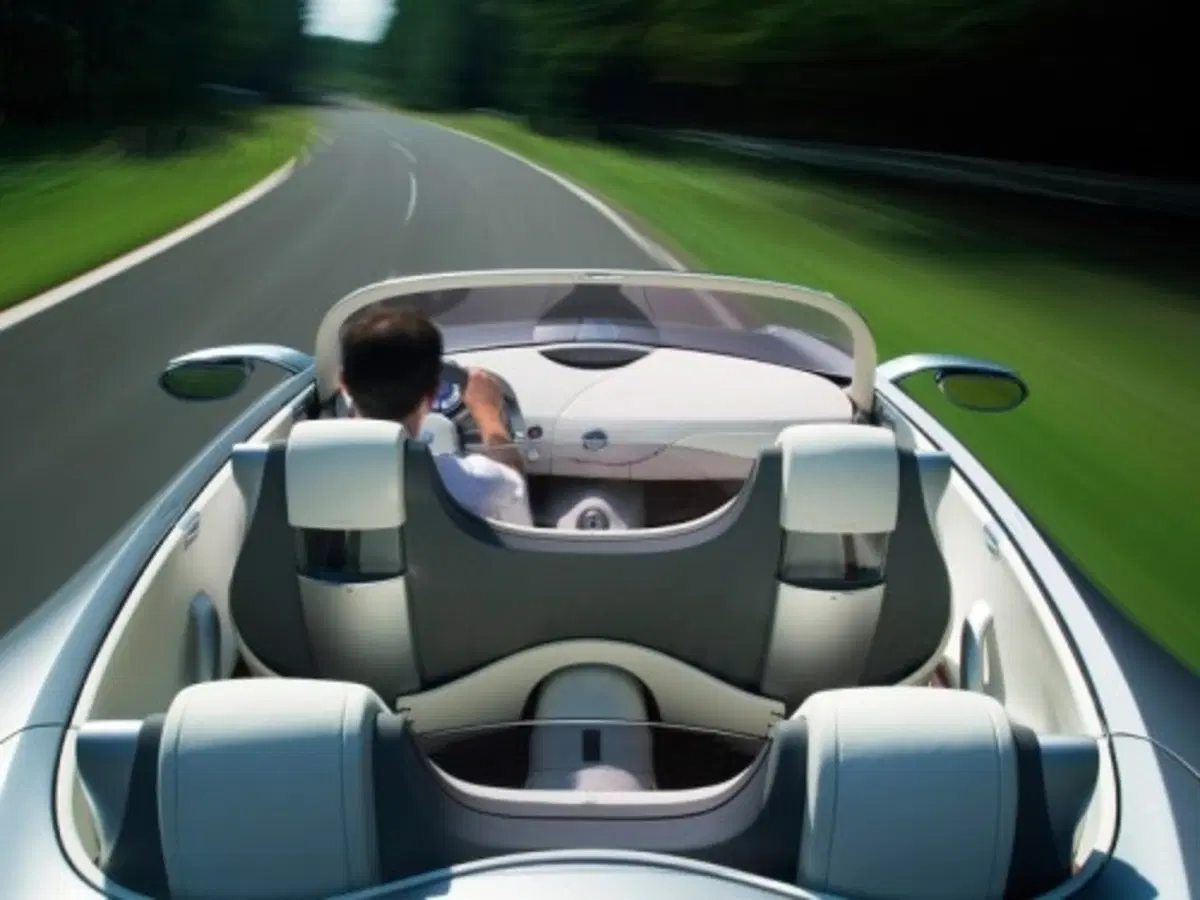 Renault Nepta Concept (5)