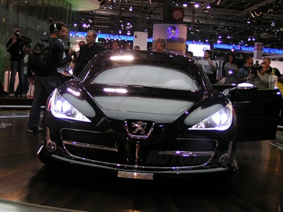 Salone di Parigi - live/2 (18)