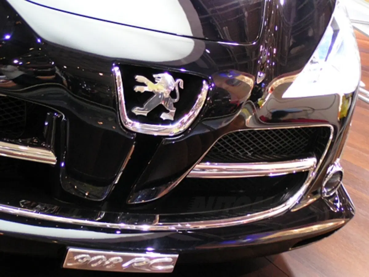 Salone di Parigi - live/2 (25)