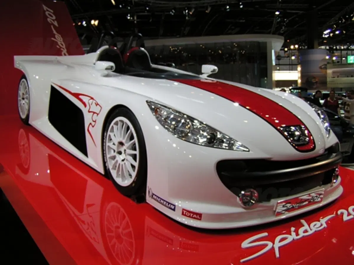 Salone di Parigi - live/2 (46)
