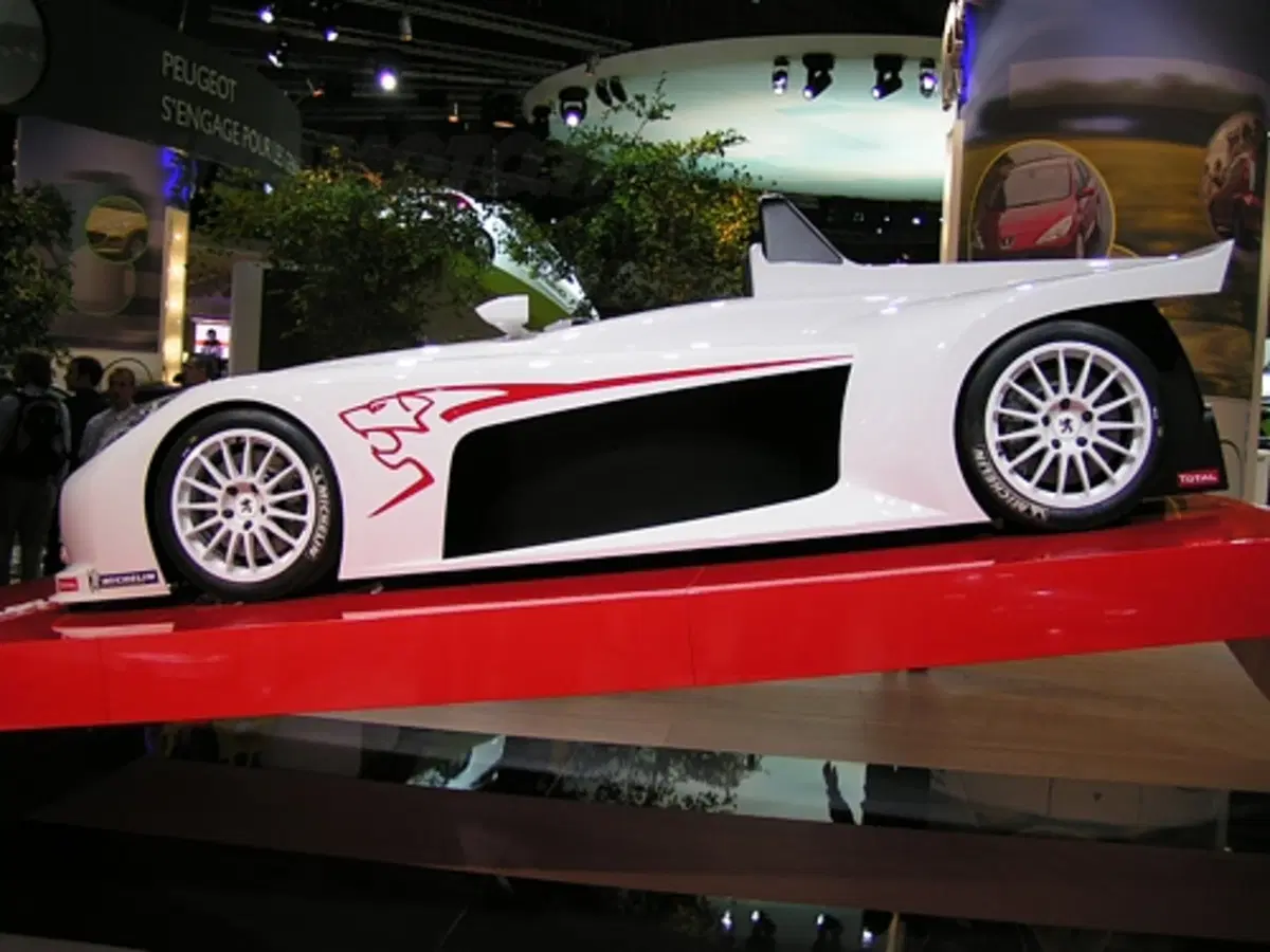 Salone di Parigi - live/2 (47)