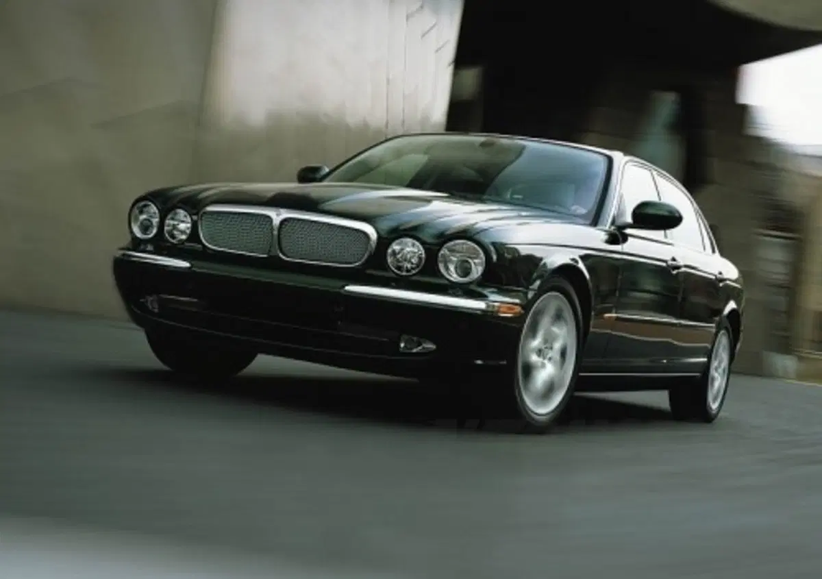 Primato qualitativo Jaguar 