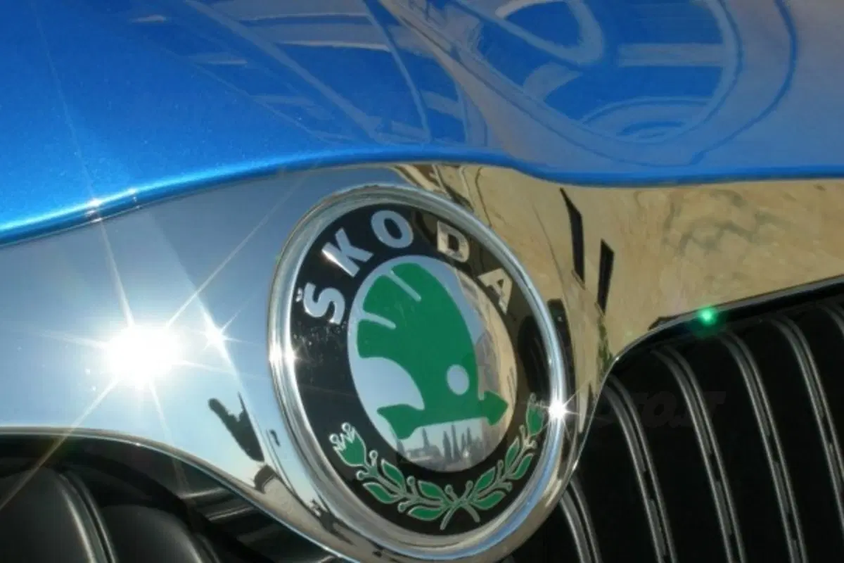Skoda Roomster (2)