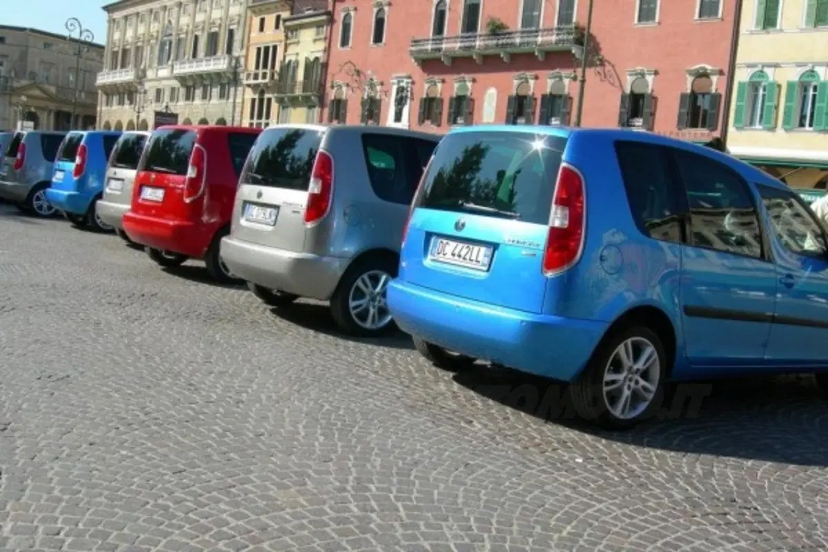 Skoda Roomster (20)
