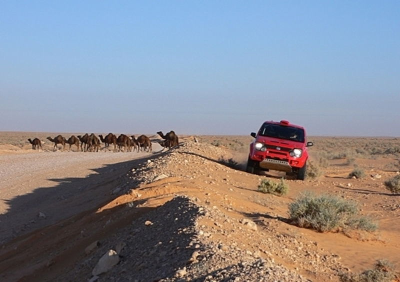 Fiat Panda Cross Dakar 2007