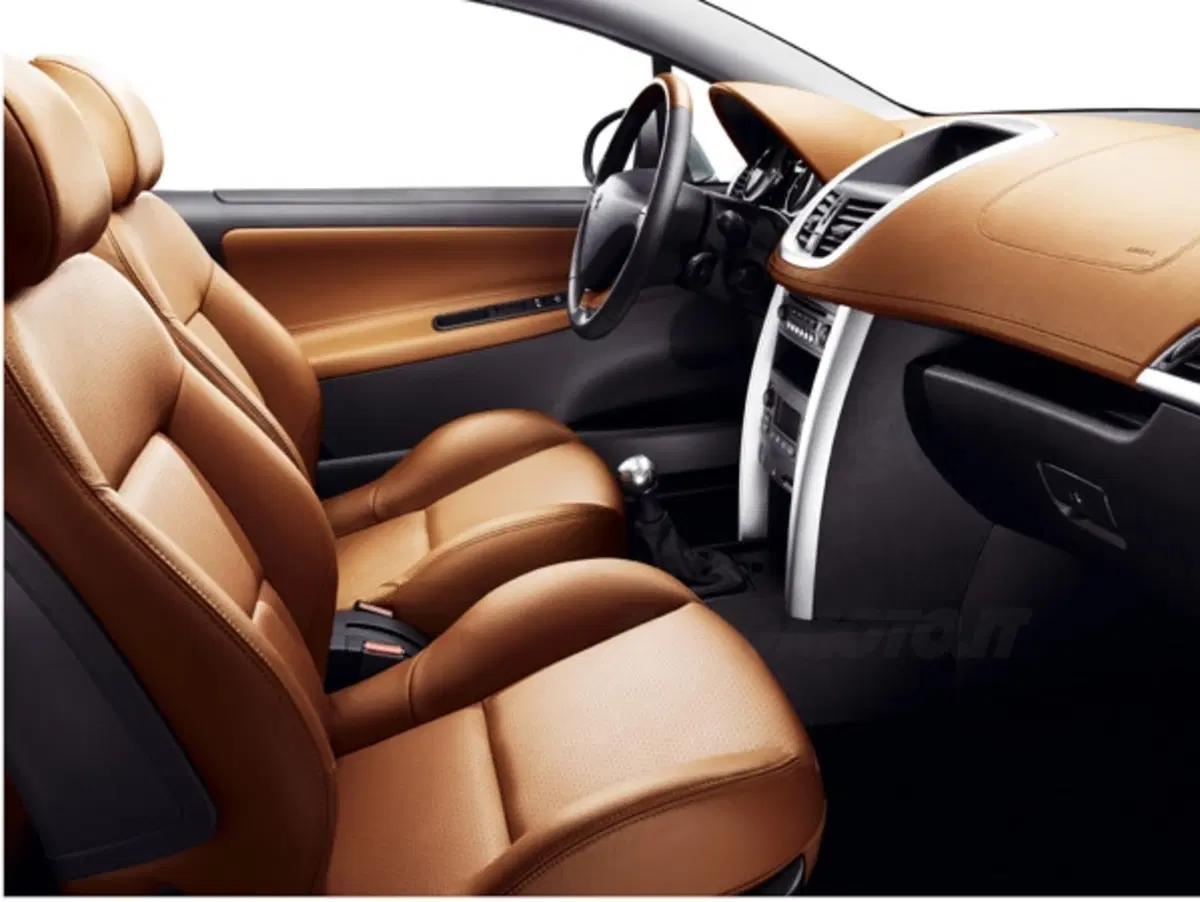 Peugeot 207 CC (2)