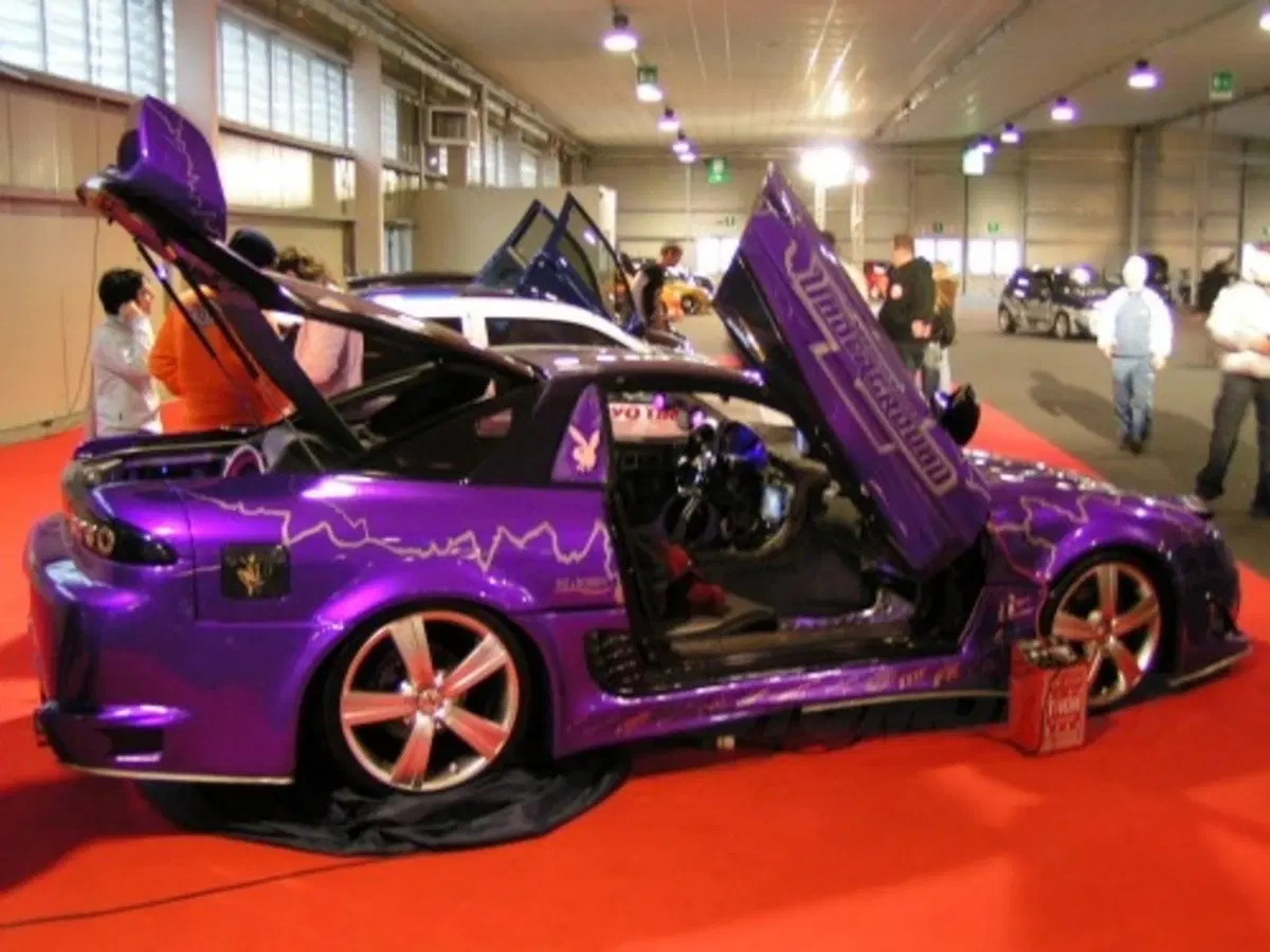 Auto Expo 2007 (4)