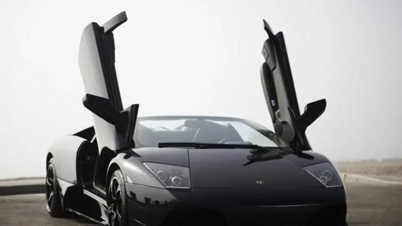 Lamborghini Murcielago LP640 Roadster Versace