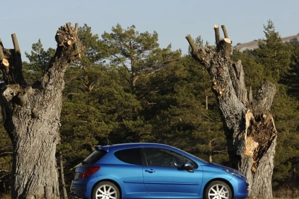 Peugeot 207 GTi (15)