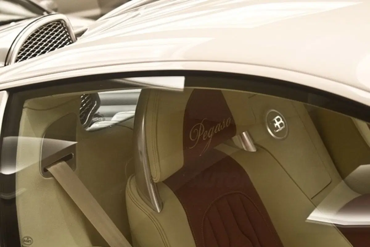 Bugatti Veyron Pegaso (7)