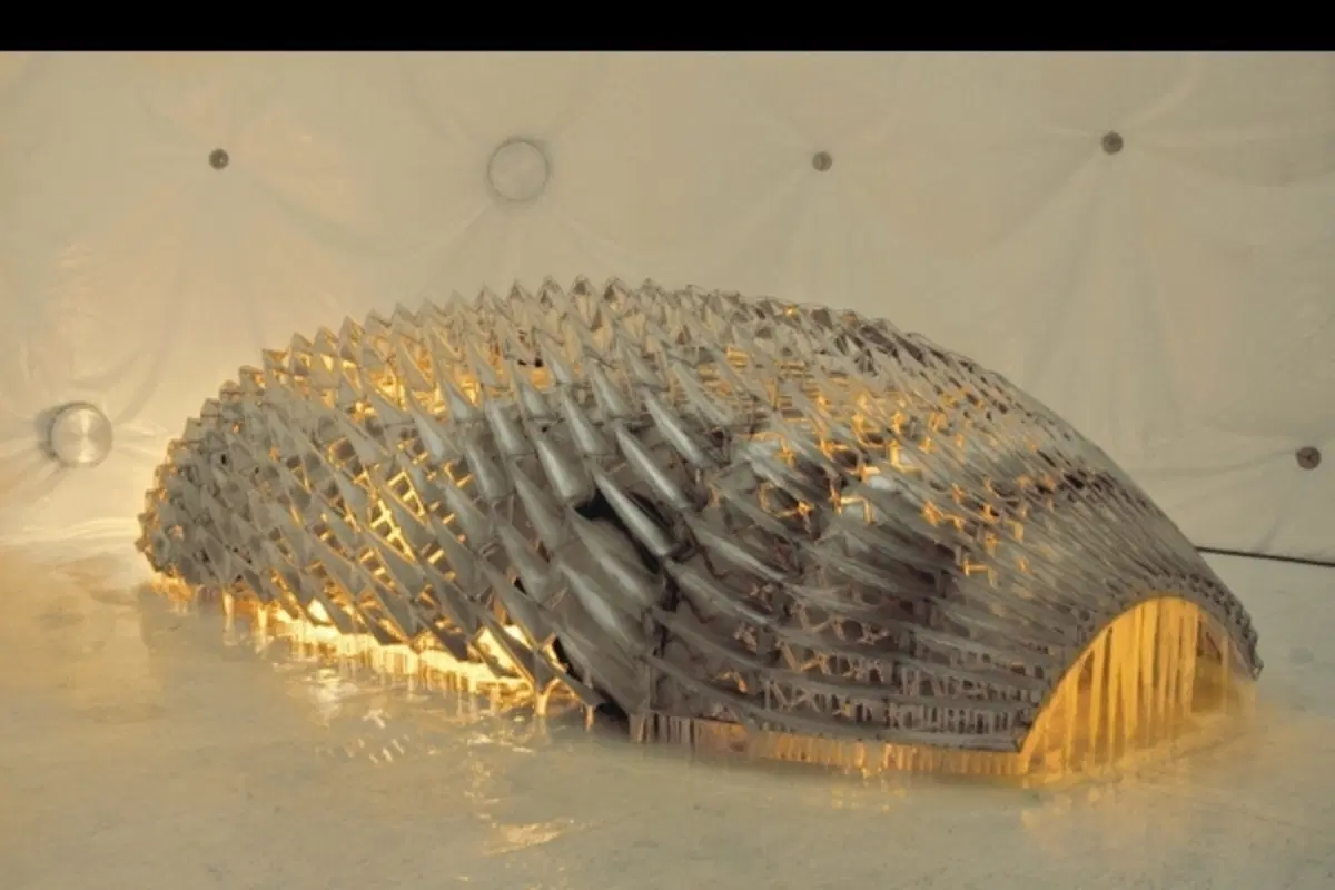 La 16a Art Car