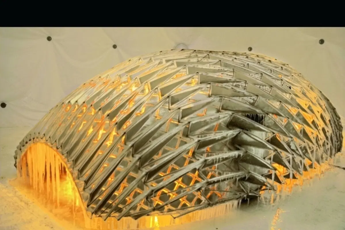 La 16a Art Car (2)