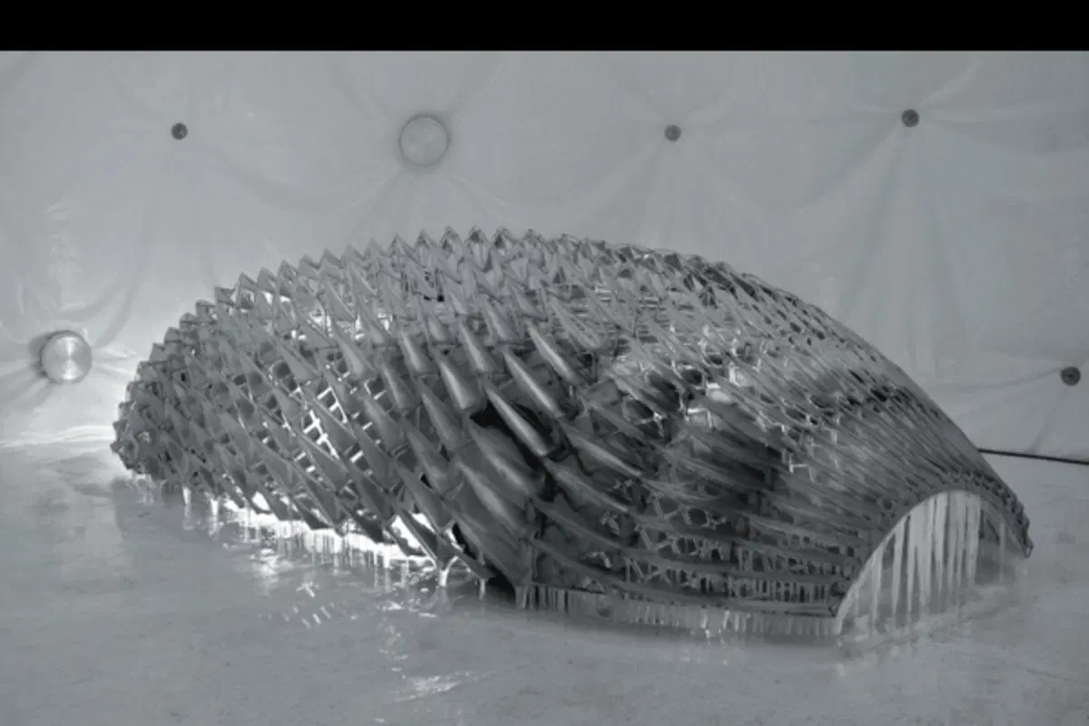 La 16a Art Car (4)