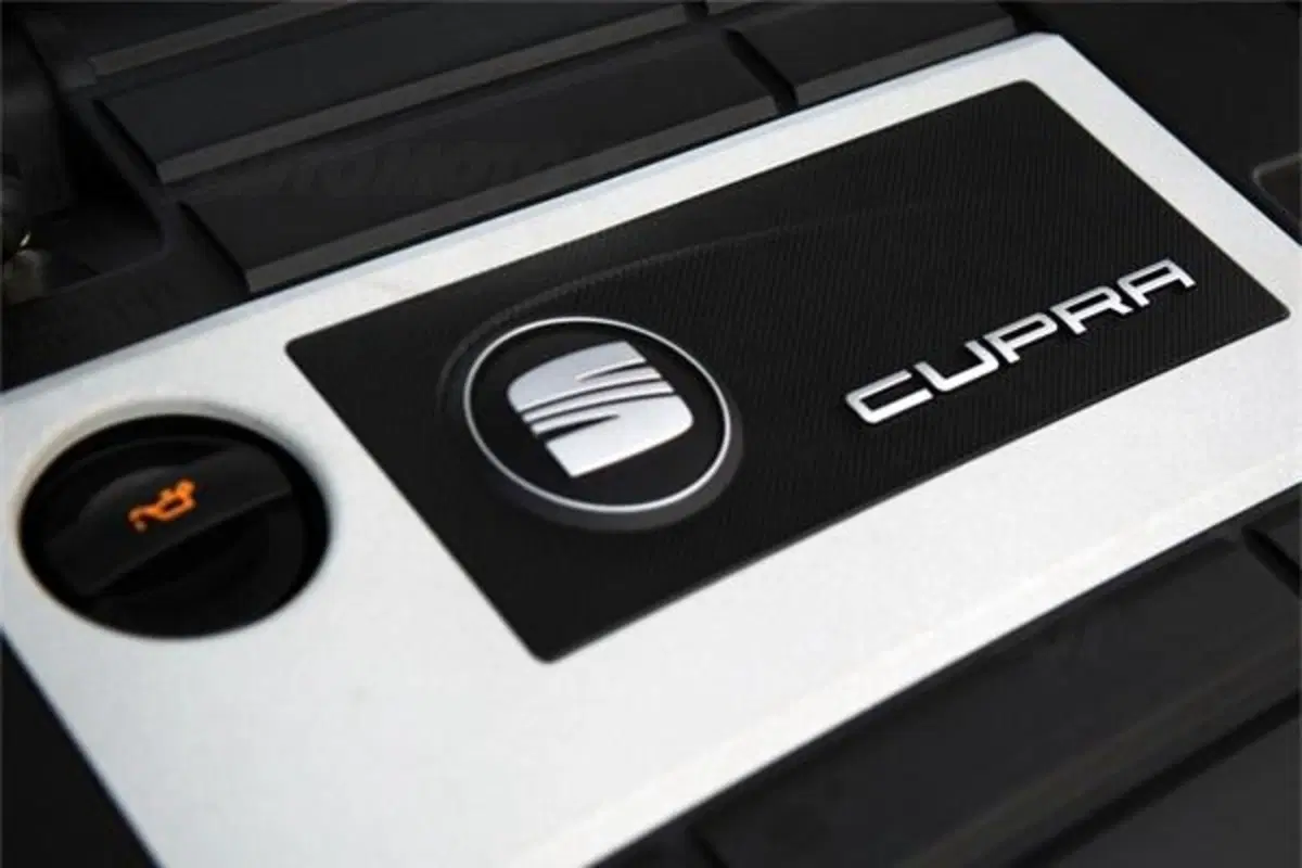 Seat Leon Cupra 310 (2)