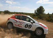 Peugeot 207 Rally