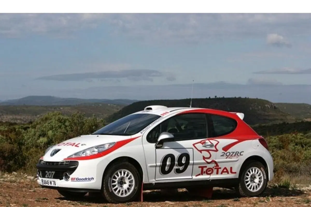 Peugeot 207 Rally (3)