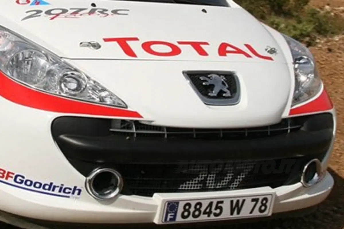 Peugeot 207 Rally (4)