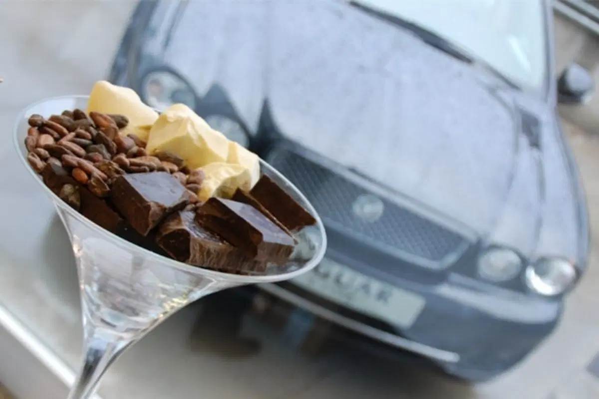 Jaguar Test&Taste (13)