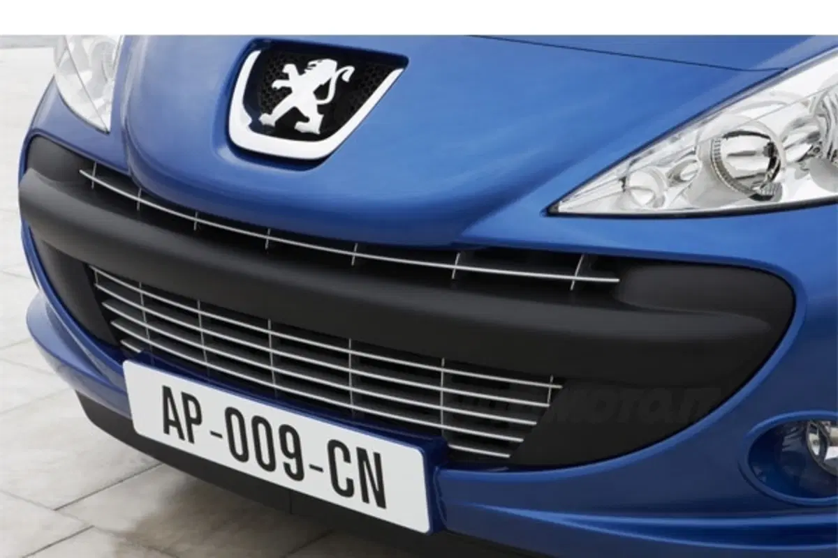 Peugeot 206 Plus (2)