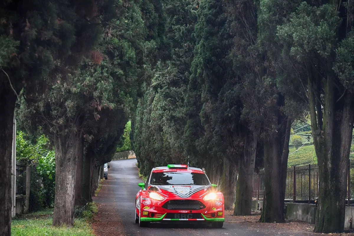 CIR 2016 Due Valli. SSS 1 Torricelle: Andreucci-Andreussi (Peugeot) (6)