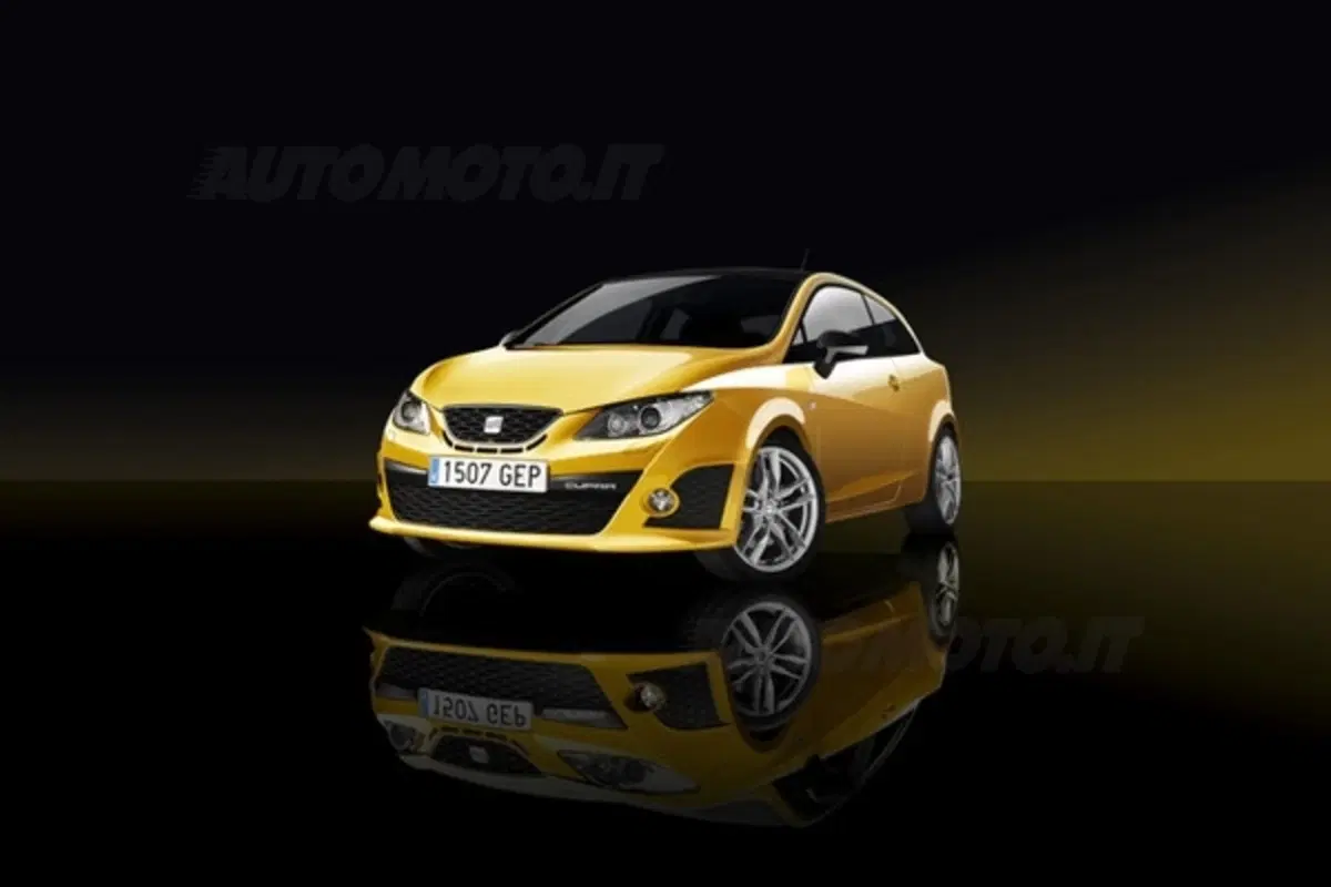 Seat Ibiza Cupra (13)
