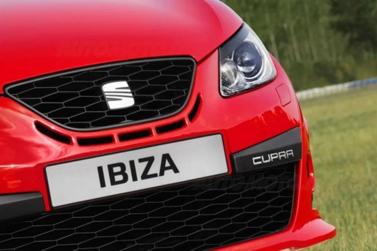 Seat Ibiza Cupra (15)