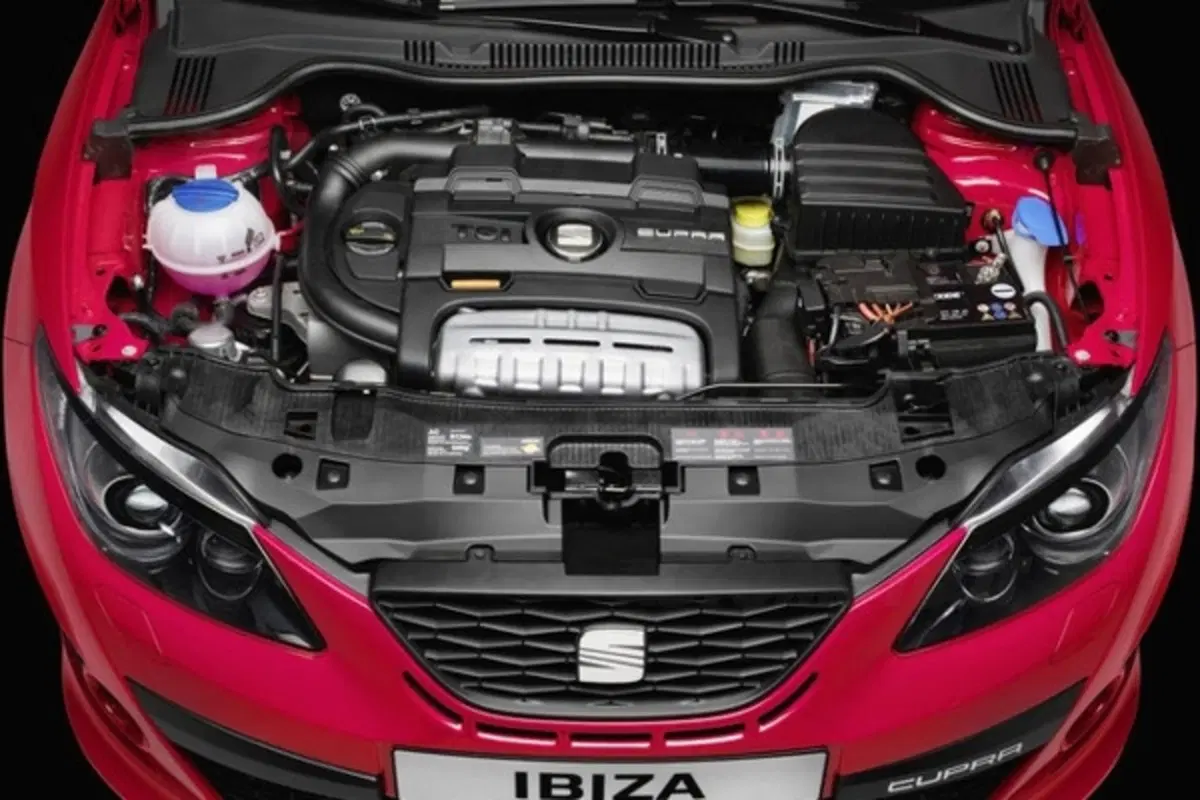 Seat Ibiza Cupra (25)