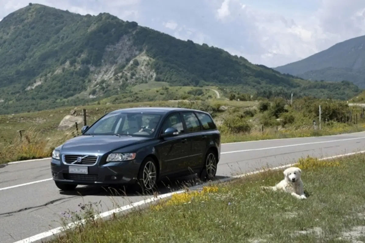Tornano le Volvo Polar (27)