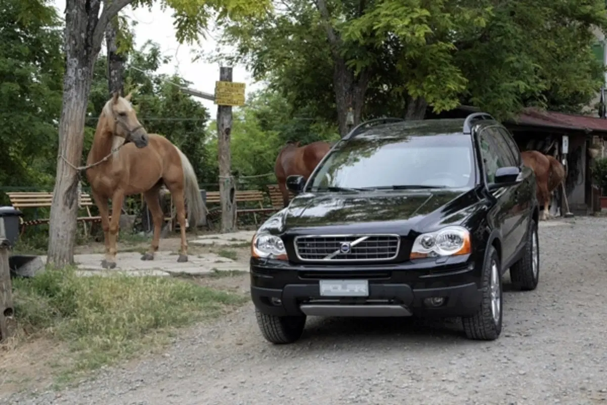 Tornano le Volvo Polar (38)