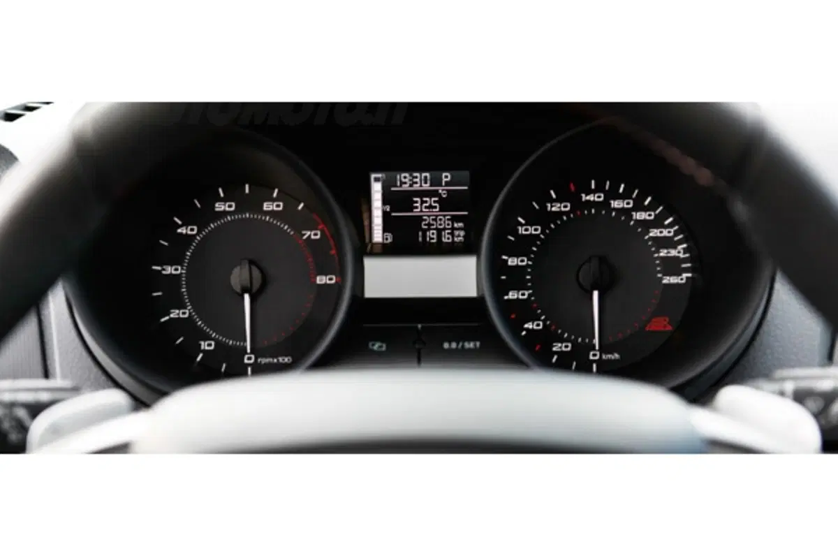 Seat Ibiza Bocanegra Special Edition (23)