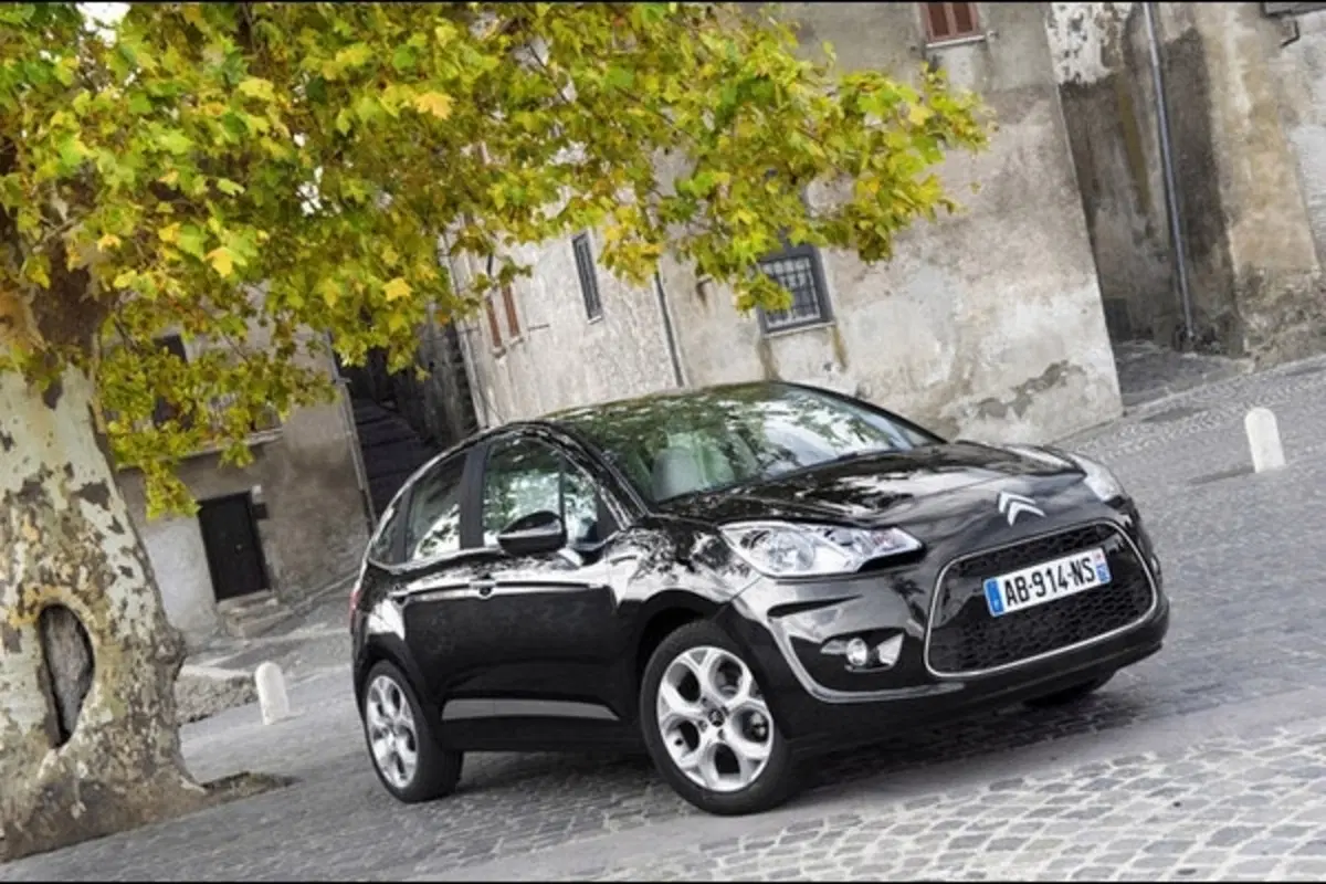 Citroen C3 (19)