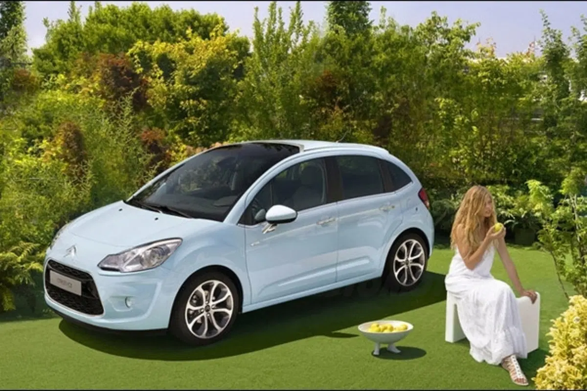 Citroen C3 (28)